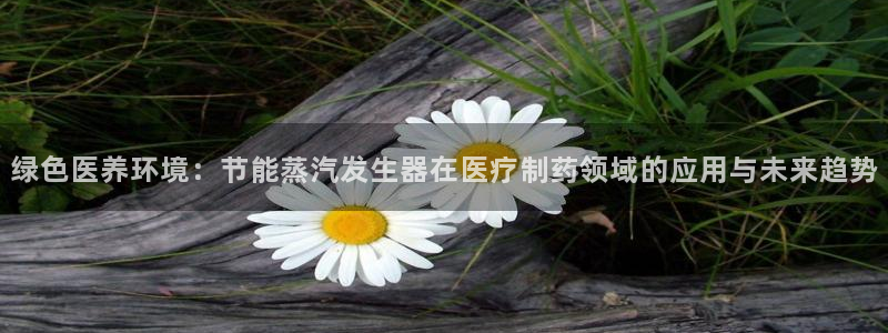 门徒娱乐什么平台：绿色医养环境：节能蒸汽