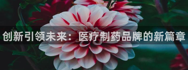门徒娱乐代理怎么办