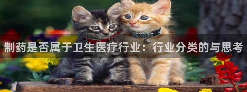 门徒娱乐负责人