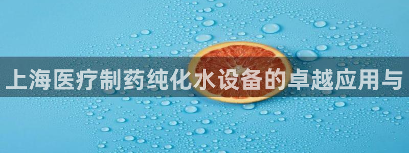 门徒娱乐计划在线观看