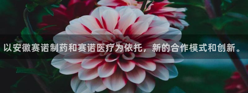 门徒娱乐官方网站