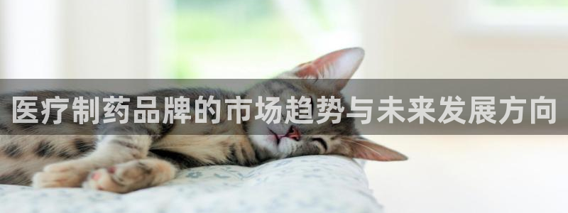 娱乐门徒内容