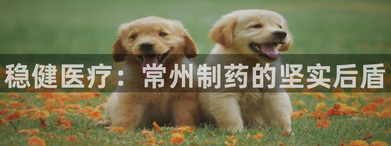 门徒娱乐登录注册不了