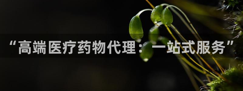 门徒娱乐登录地址