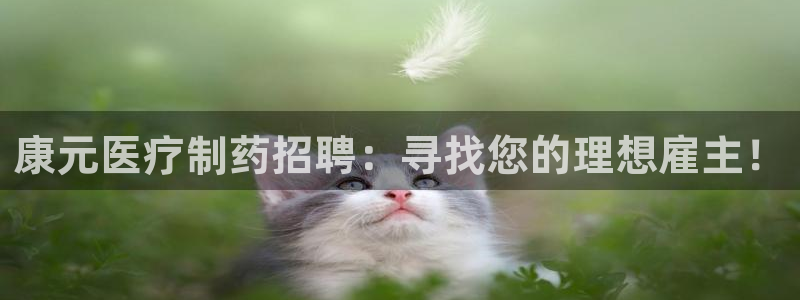 门徒第娱乐月