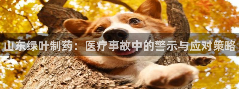 门徒娱乐平台网址是什么