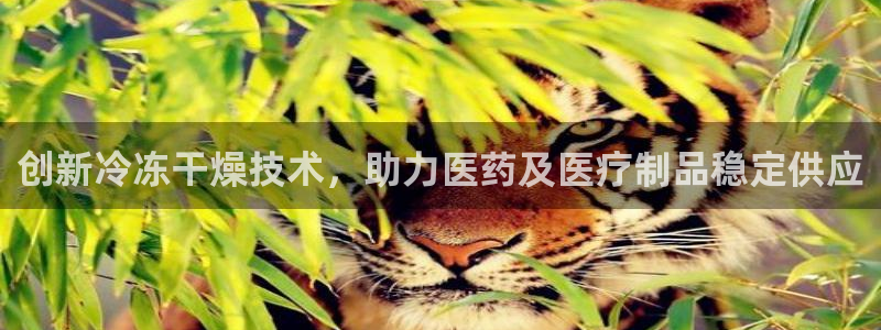 门徒娱乐5O6917