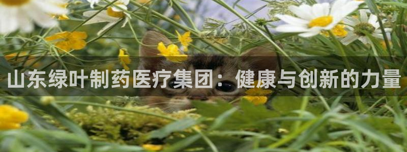 门徒娱乐后5指尖