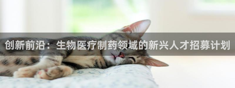 万国觉醒娱乐门徒攻略