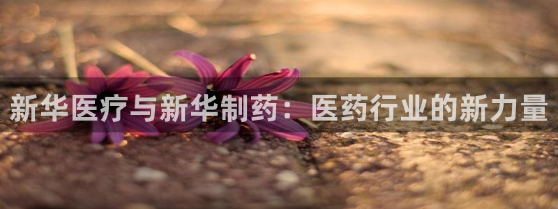 门徒娱乐注册下判官333OO