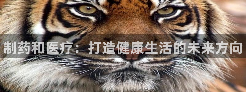 门徒娱乐能挣钱嘛视频