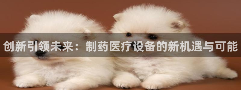 焦点娱乐门徒平台