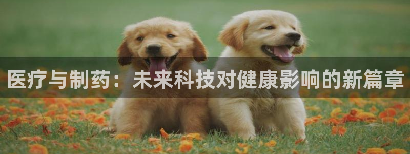 门徒娱乐怎么代理赚钱的