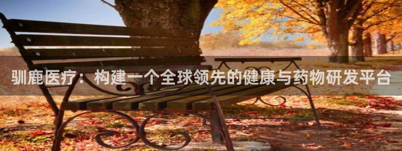 门徒娱乐什么平台可以看