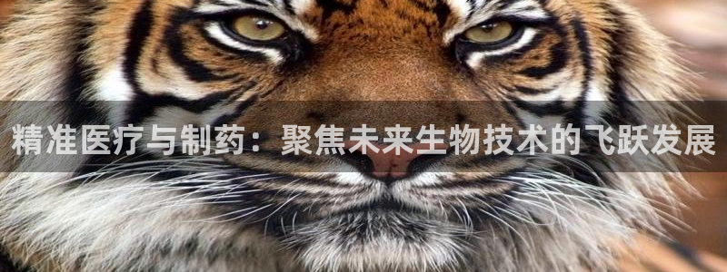 娱乐门徒百度云