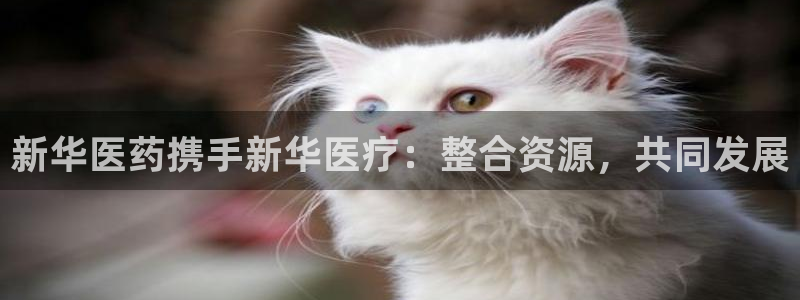 门徒娱乐平台安装