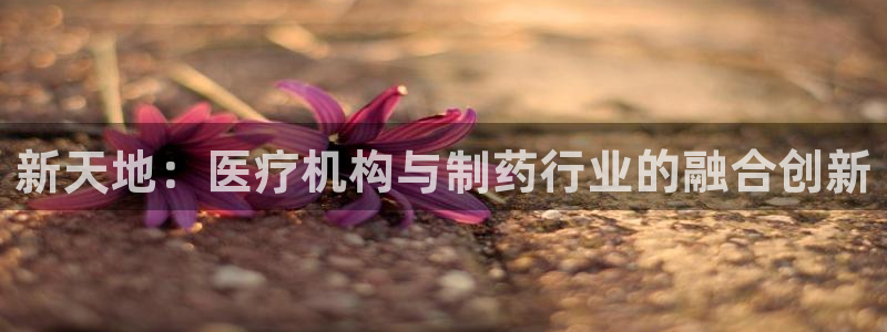 娱乐门徒完结了吗小说