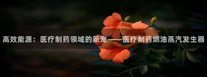 门徒娱乐平台代理商