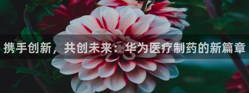 门徒娱乐在线登录网站