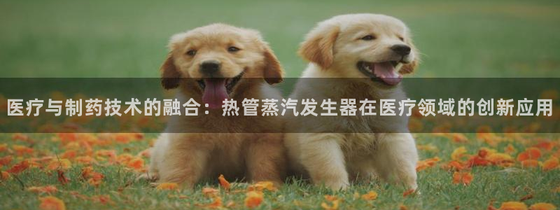 门徒娱乐官方网站地址