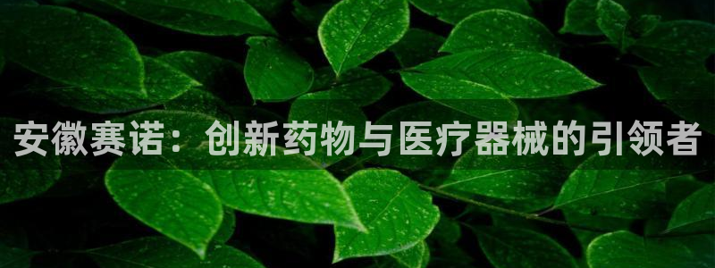 门徒娱乐怎么注册账号的