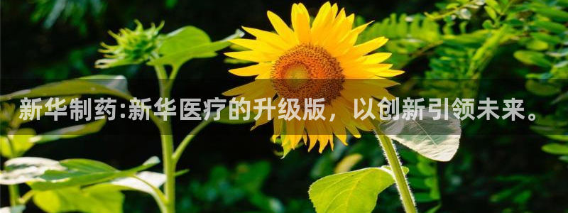 门徒娱乐日5指尖