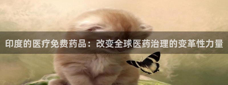 门徒娱乐平台网址是多少