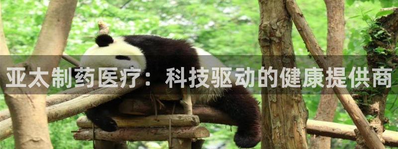 门徒娱乐注册团唐老鸭779O3