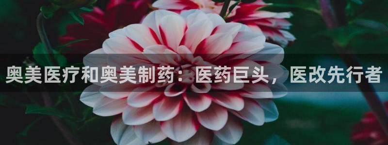 门徒娱乐右原把判官333OO