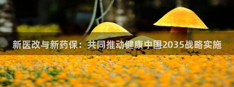 门徒娱乐怎么挂机的视频