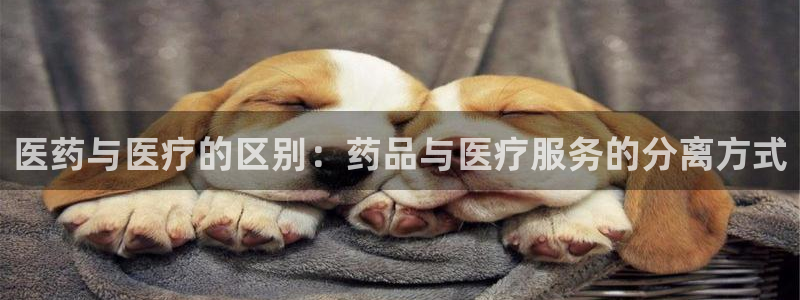 门徒娱乐能挣钱嘛现在