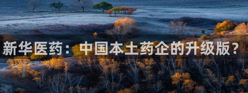 门徒娱乐总代理是谁呀