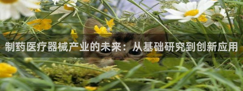 门徒娱乐怎么挂机的