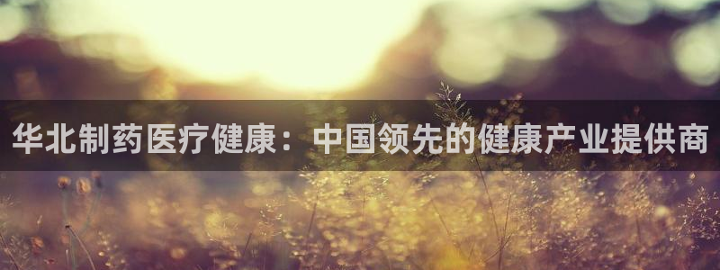 门徒娱乐是做什么的