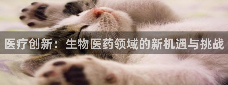 门徒娱乐线路图片