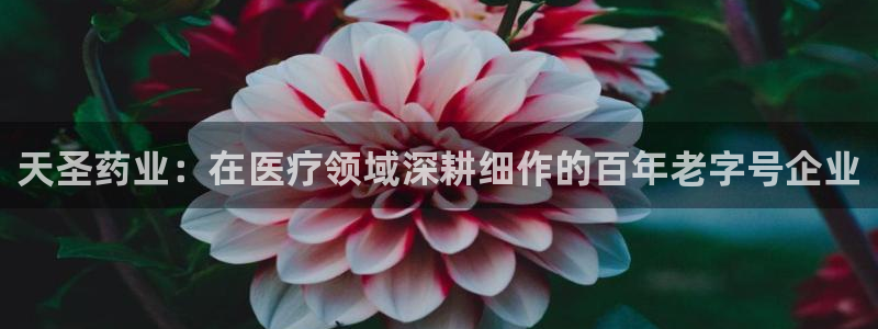 门徒娱乐项目叫什么名称