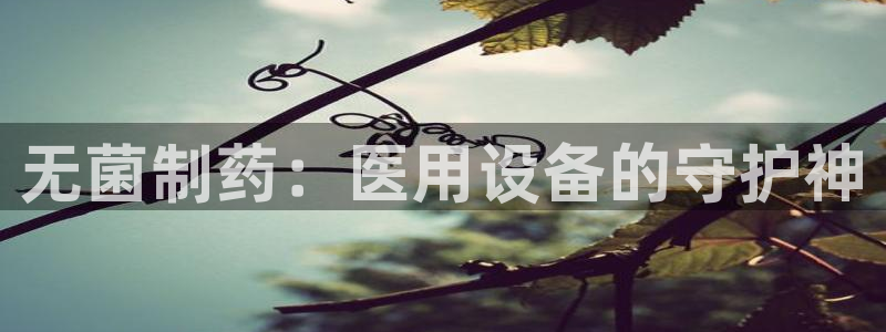 门徒娱乐软件有哪些